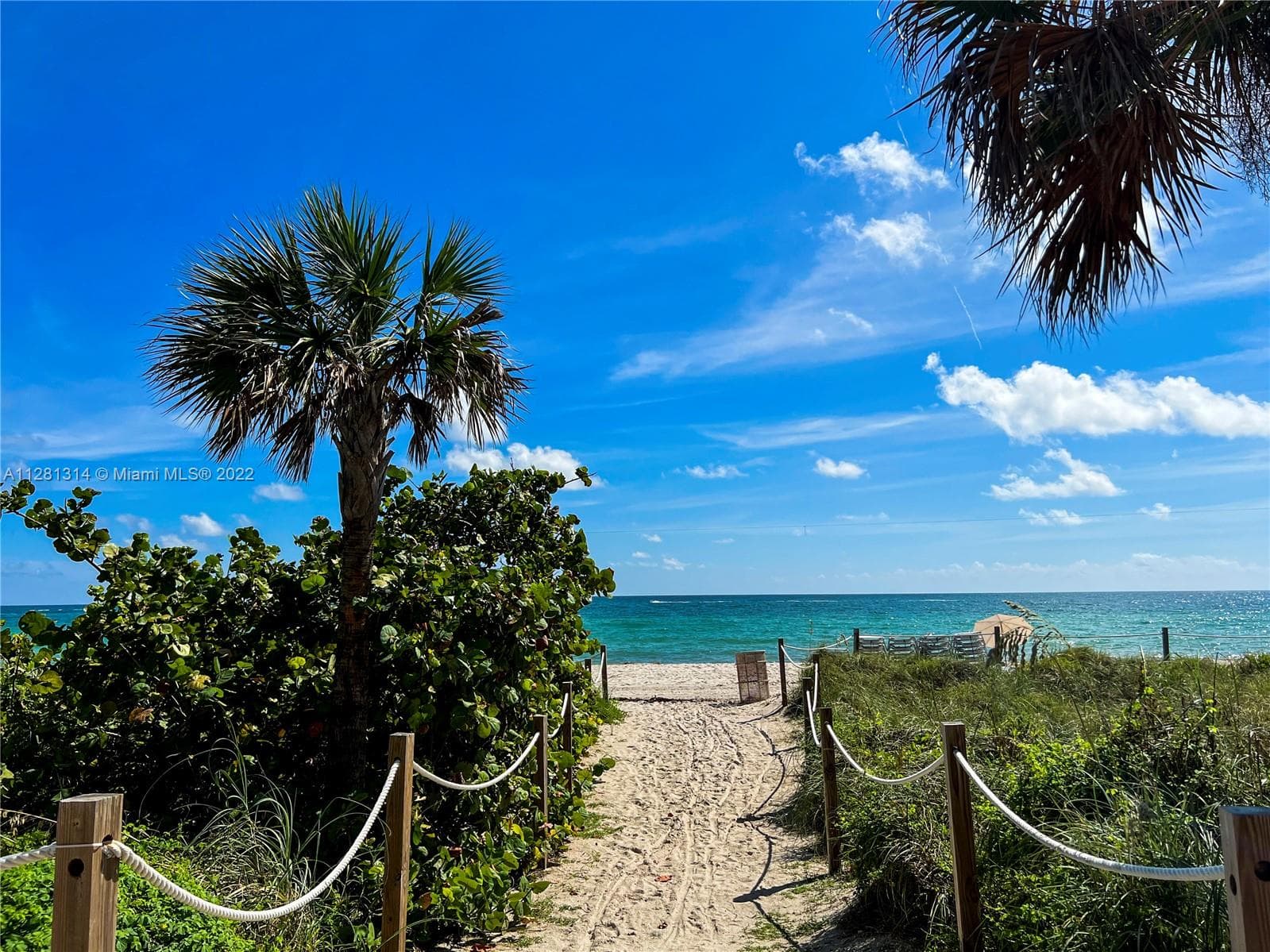 A11281314 — Miami Beach