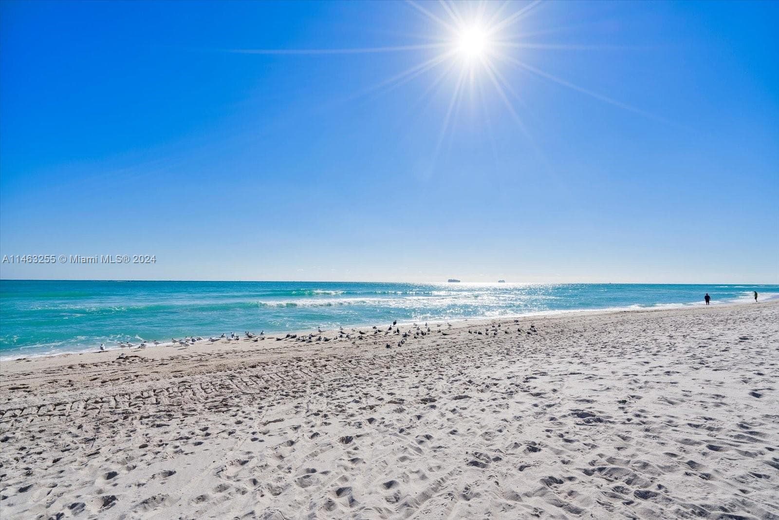 A11463255 — Miami Beach — 5