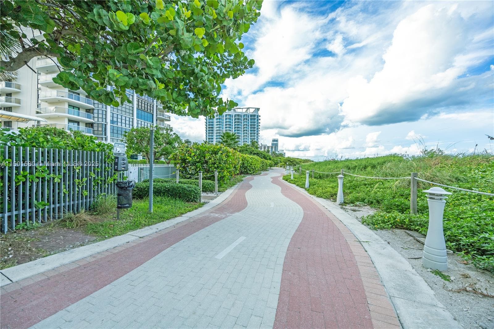 A11501580 — Miami Beach — 45