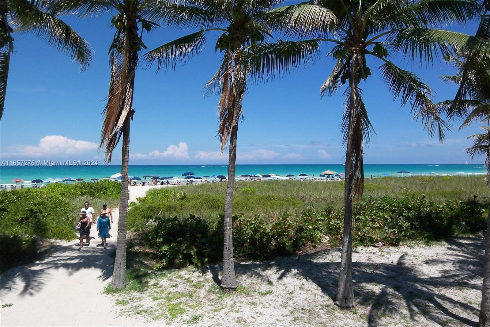 A11657276 — Miami Beach — 37