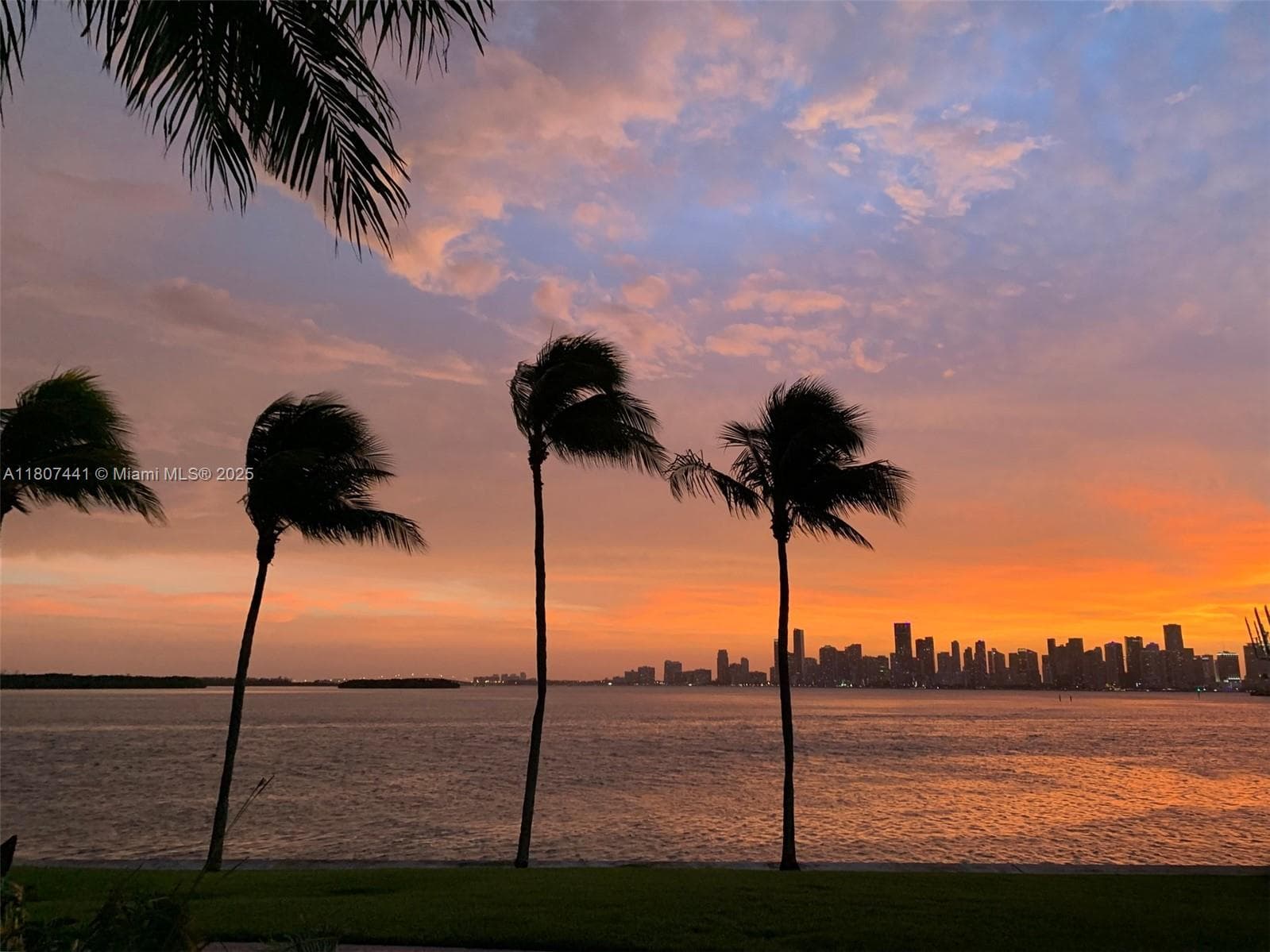 A11807441 — Miami Beach — 45