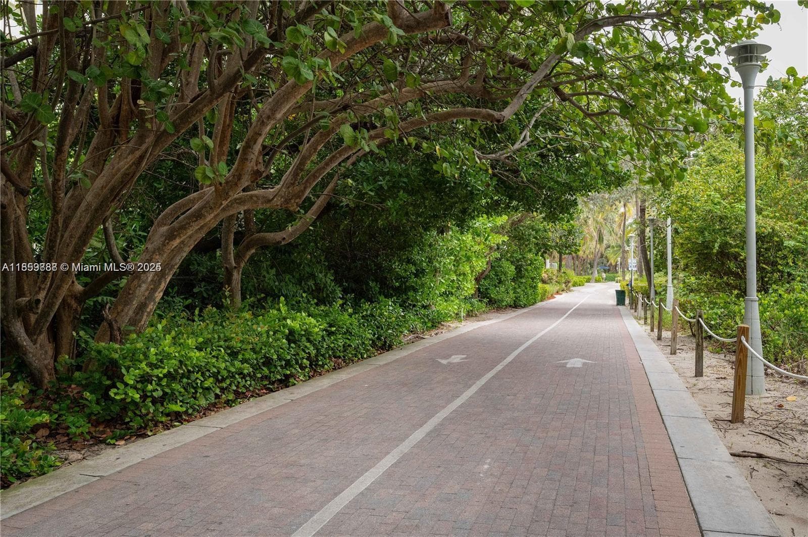 A11859888 — Miami Beach — 27