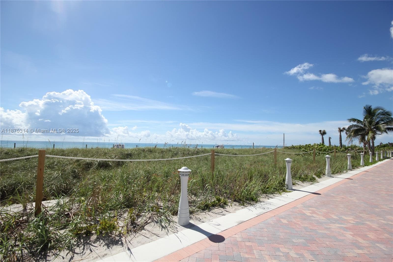 A11875314 — Miami Beach — 54