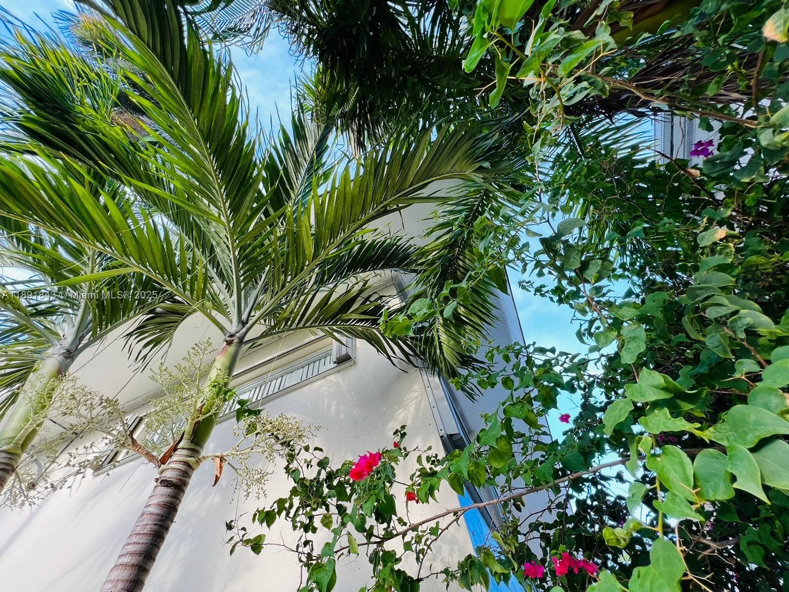 A11891843 — Miami Beach — 2