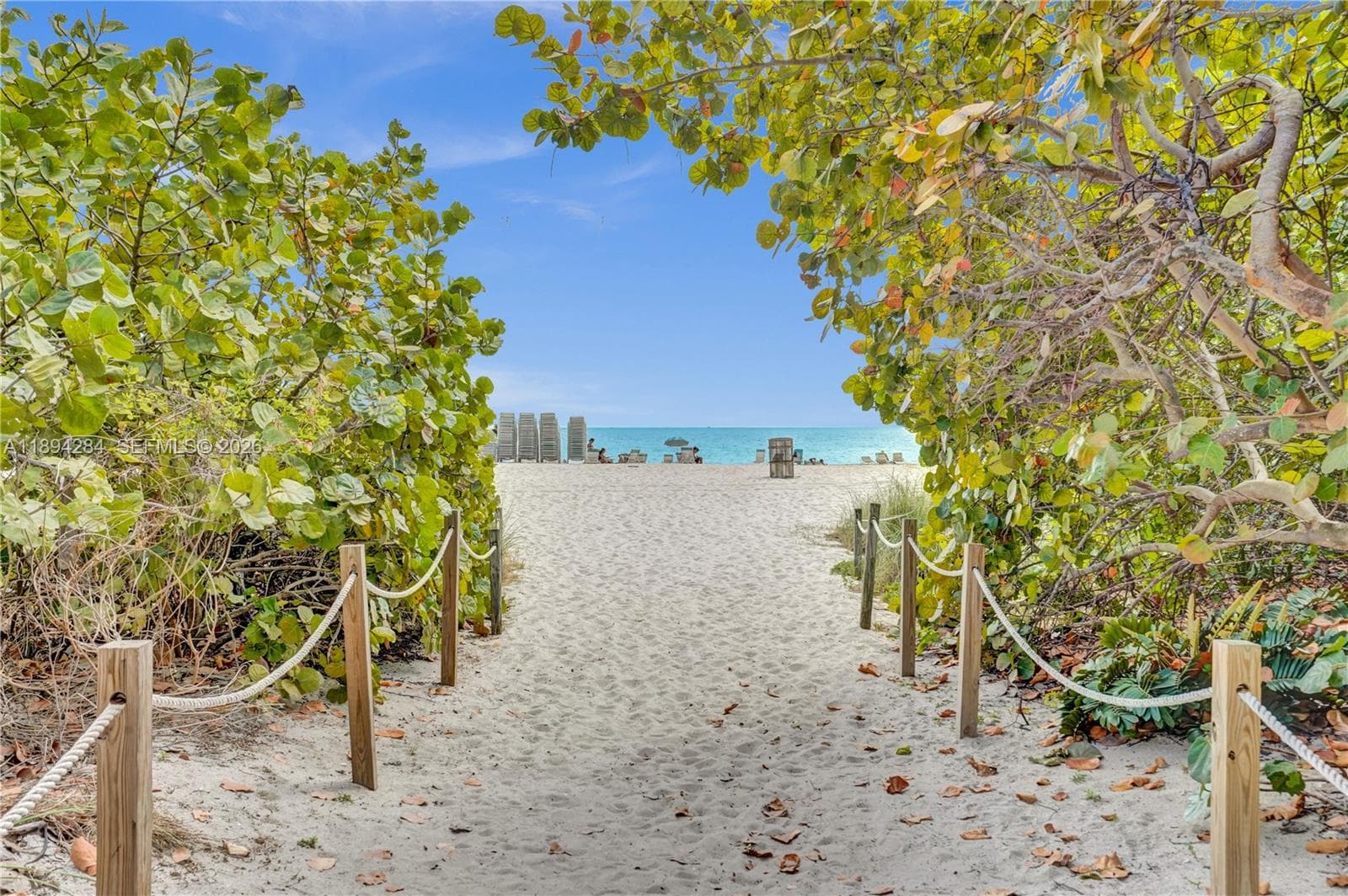 A11894284 — Miami Beach — 42