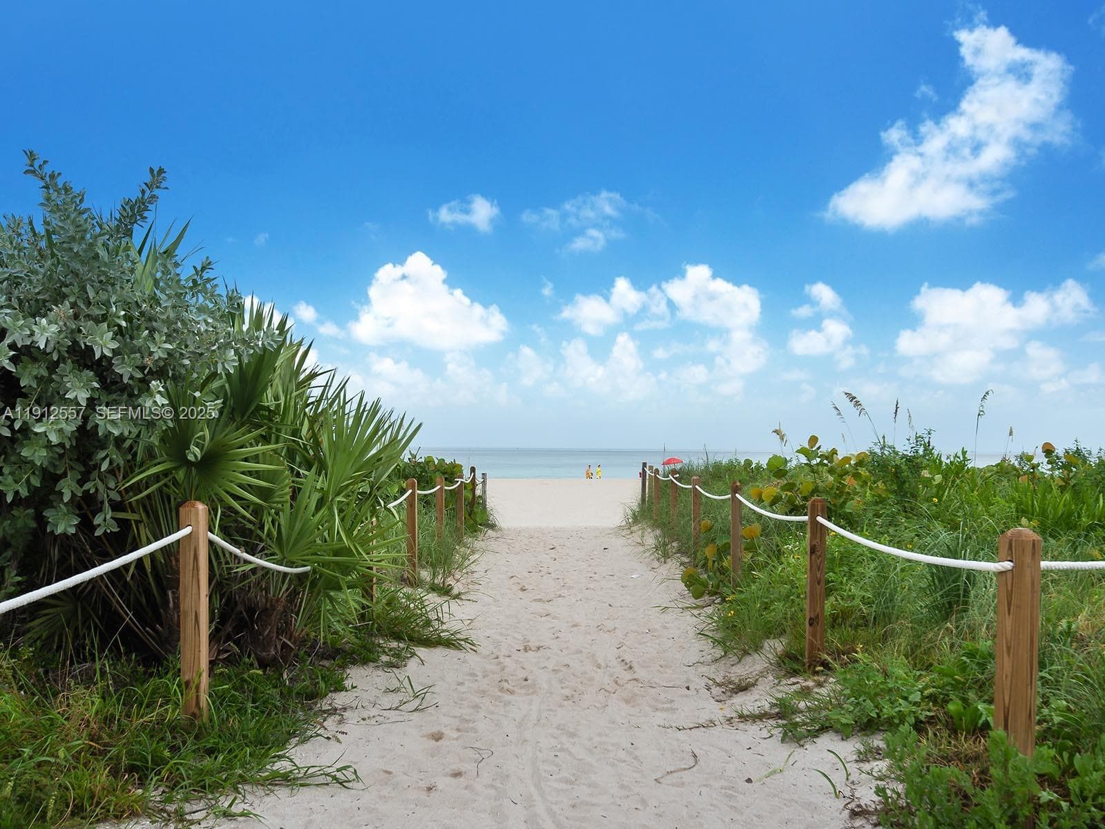 A11912557 — Miami Beach — 11