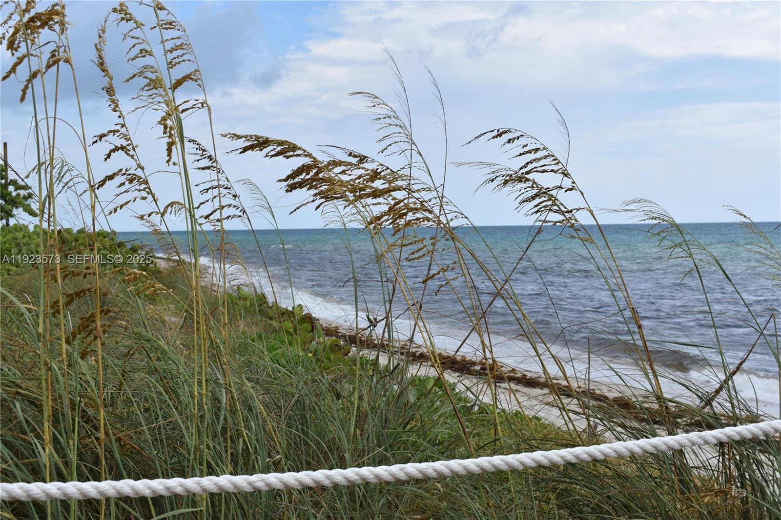 A11923573 — Miami Beach — 23