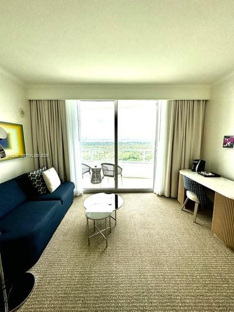 A11941848 — Miami Beach — 6