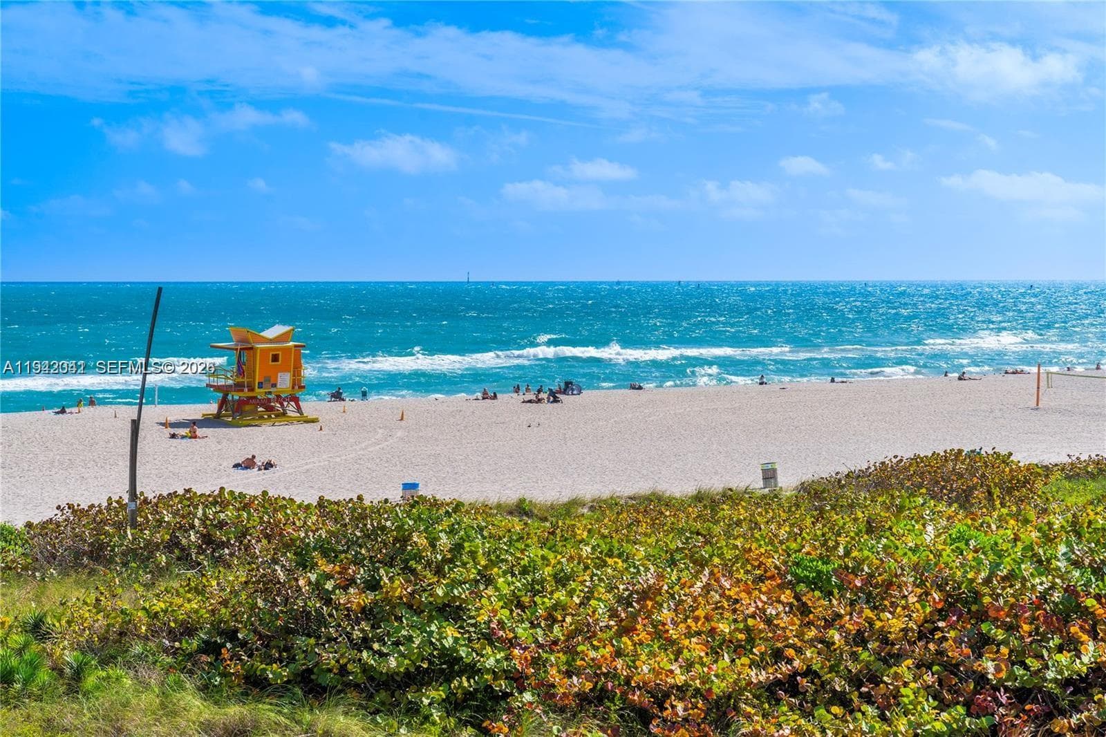 A11942041 — Miami Beach — 5