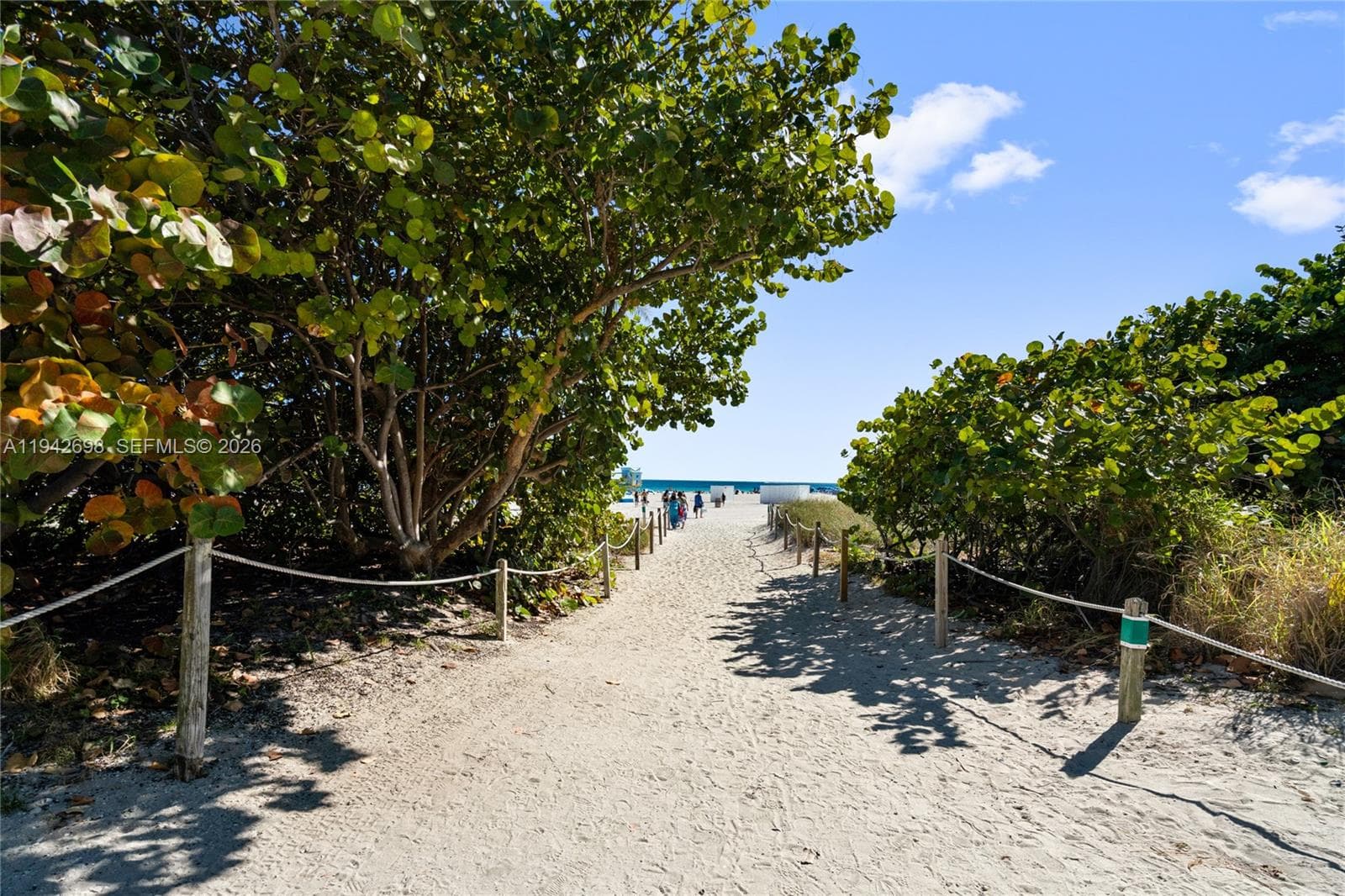A11942698 — Miami Beach — 25