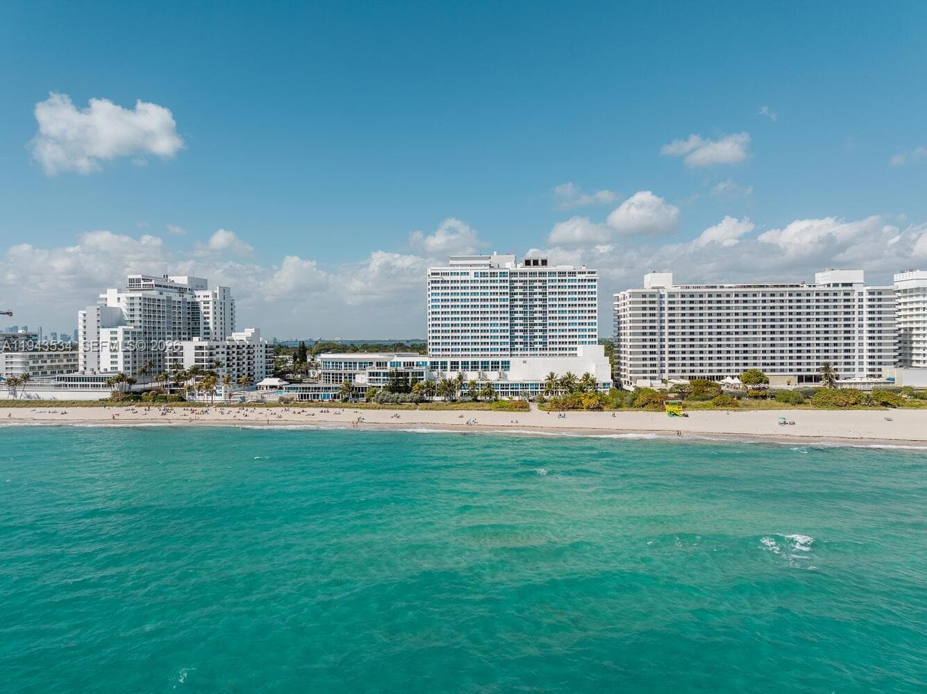 A11943534 — Miami Beach — 71