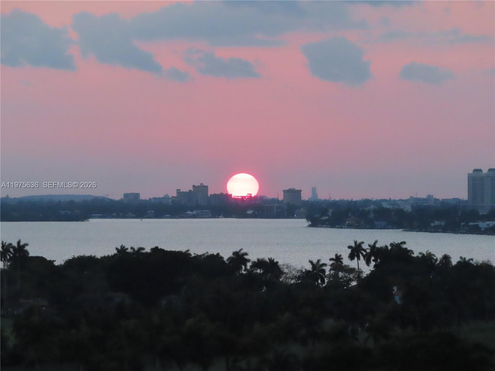 A11975636 — Miami Beach — 22