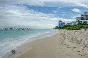 A11977773 — Miami Beach — 3