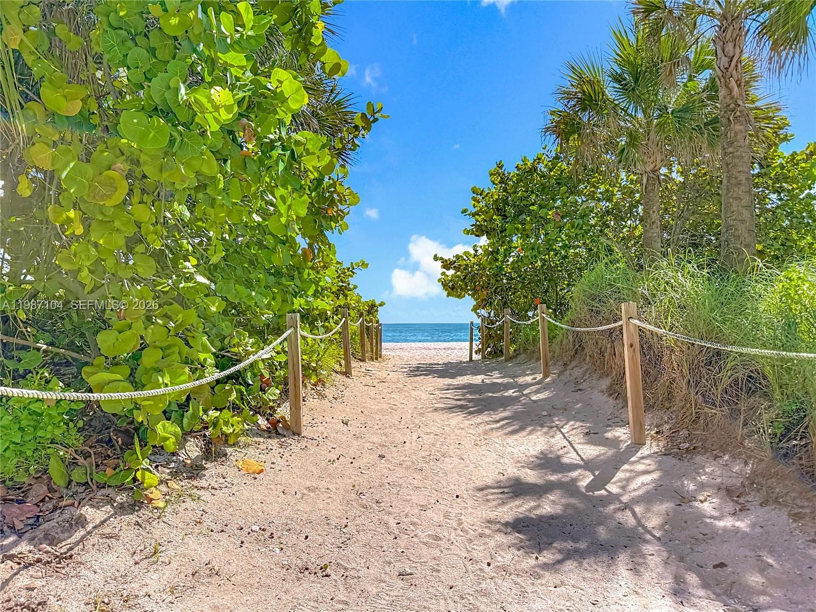 A11987104 — Miami Beach — 5