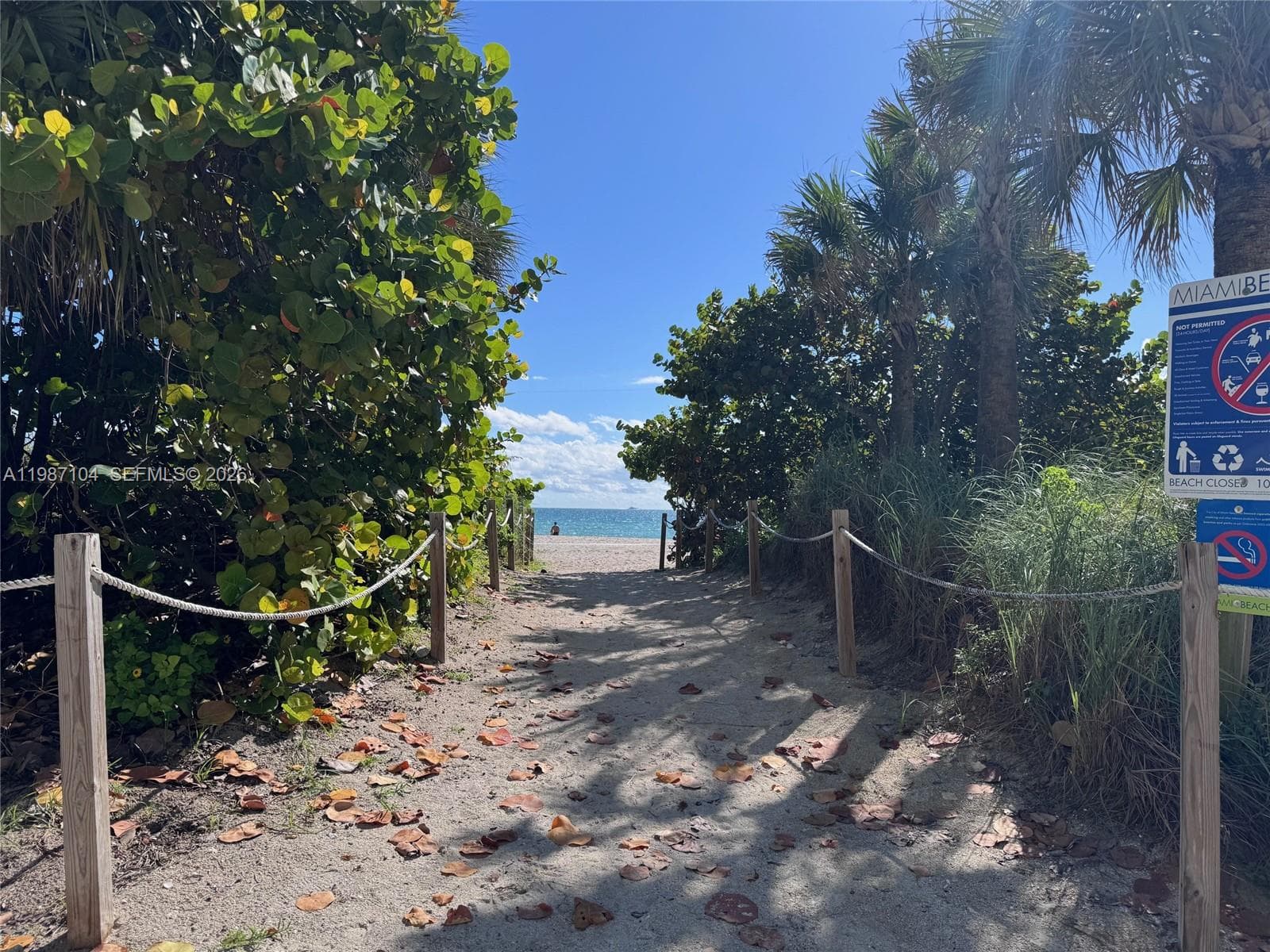 A11987104 — Miami Beach — 37