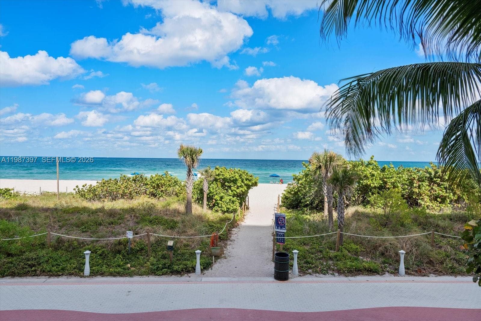 A11987397 — Miami Beach — 3