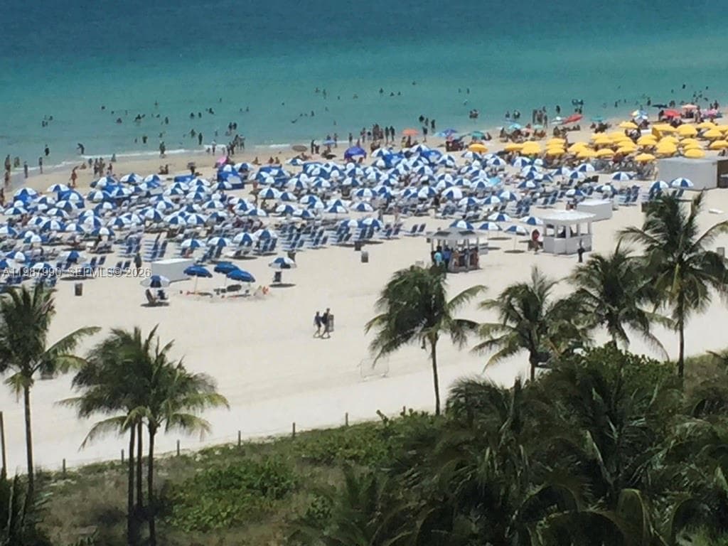 A11987990 — Miami Beach — 13