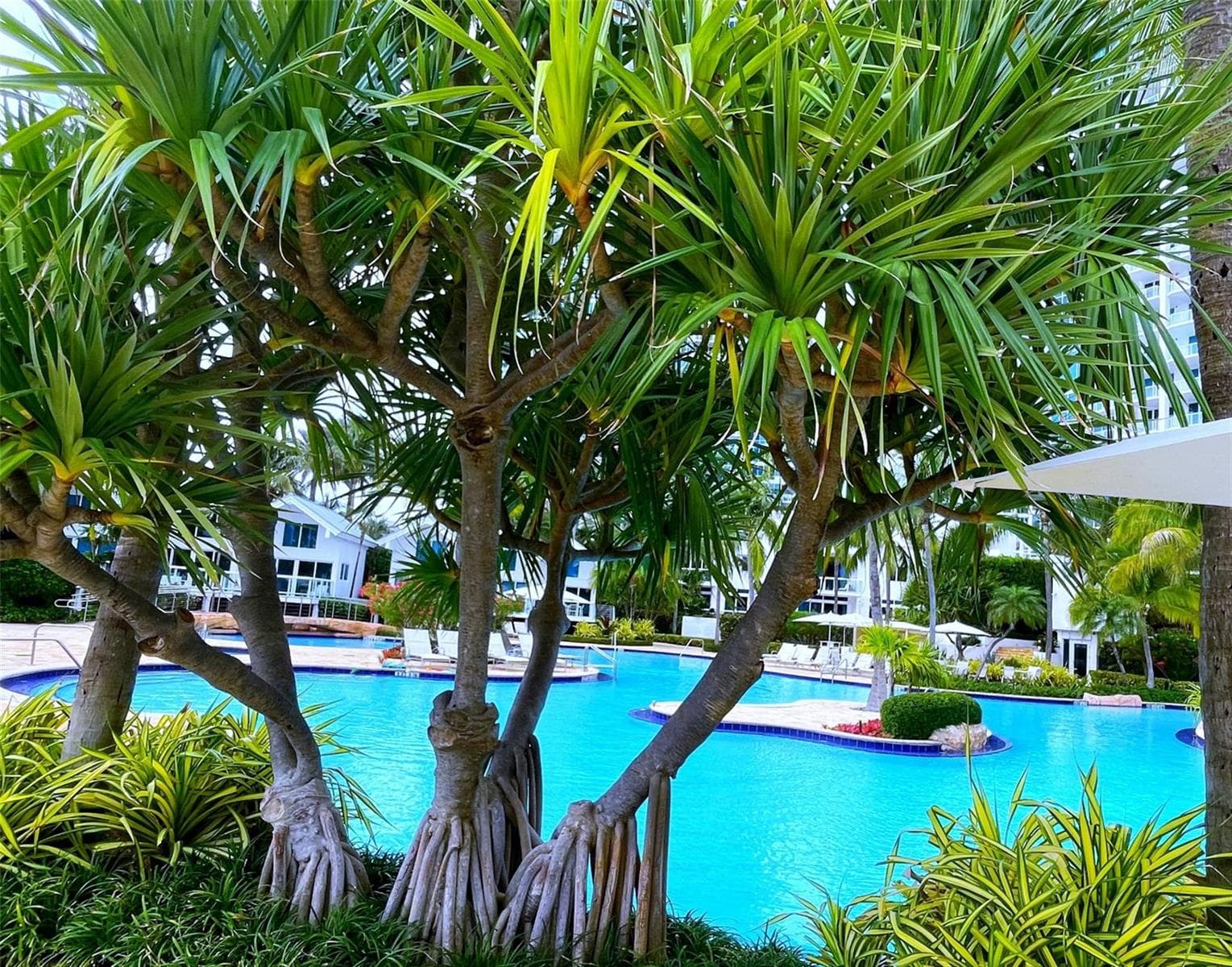 B26010930 — Miami Beach — 22