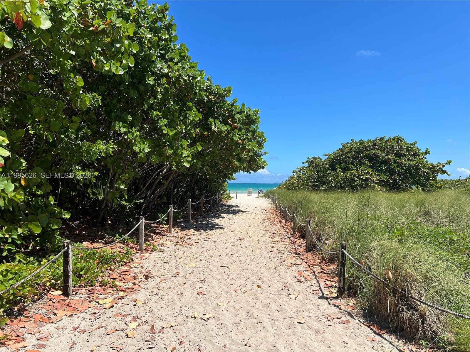 A11995626 — Miami Beach — 16
