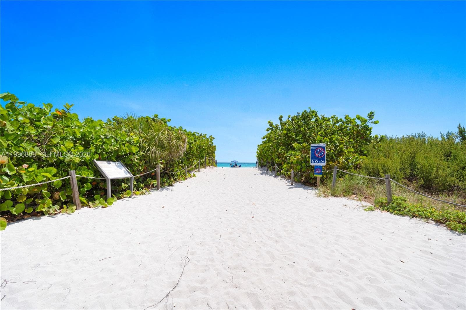 A11996888 — Miami Beach — 33