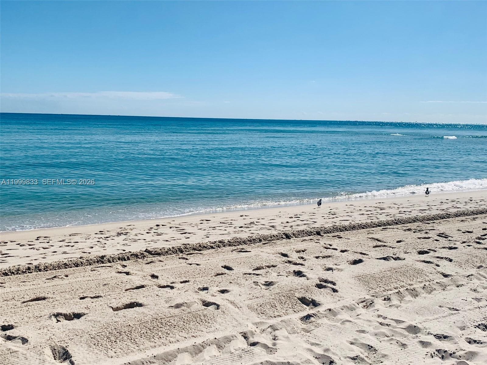 A11999833 — Miami Beach — 18