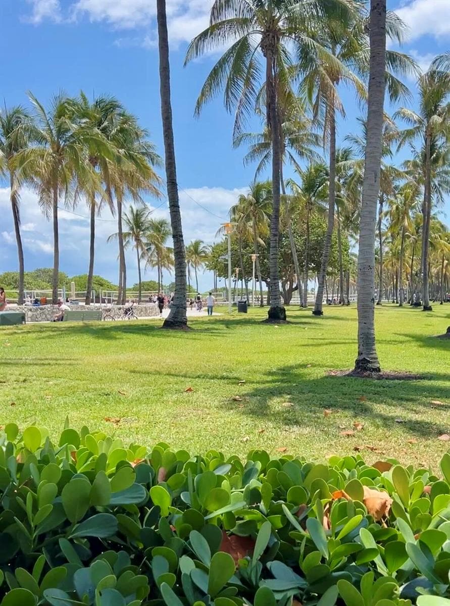B26025235 — Miami Beach — 21