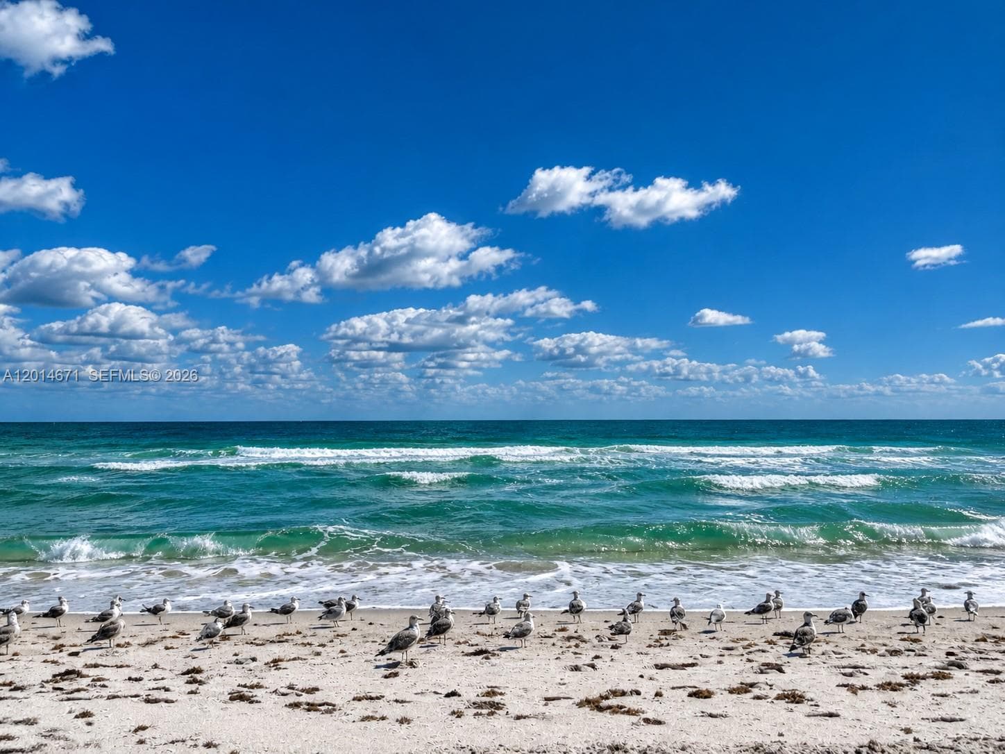 A12014671 — Miami Beach — 37