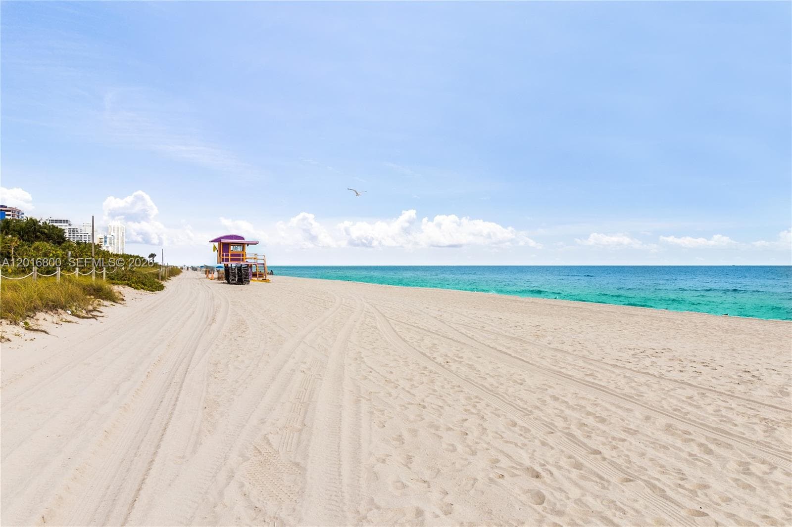 A12016800 — Miami Beach — 30