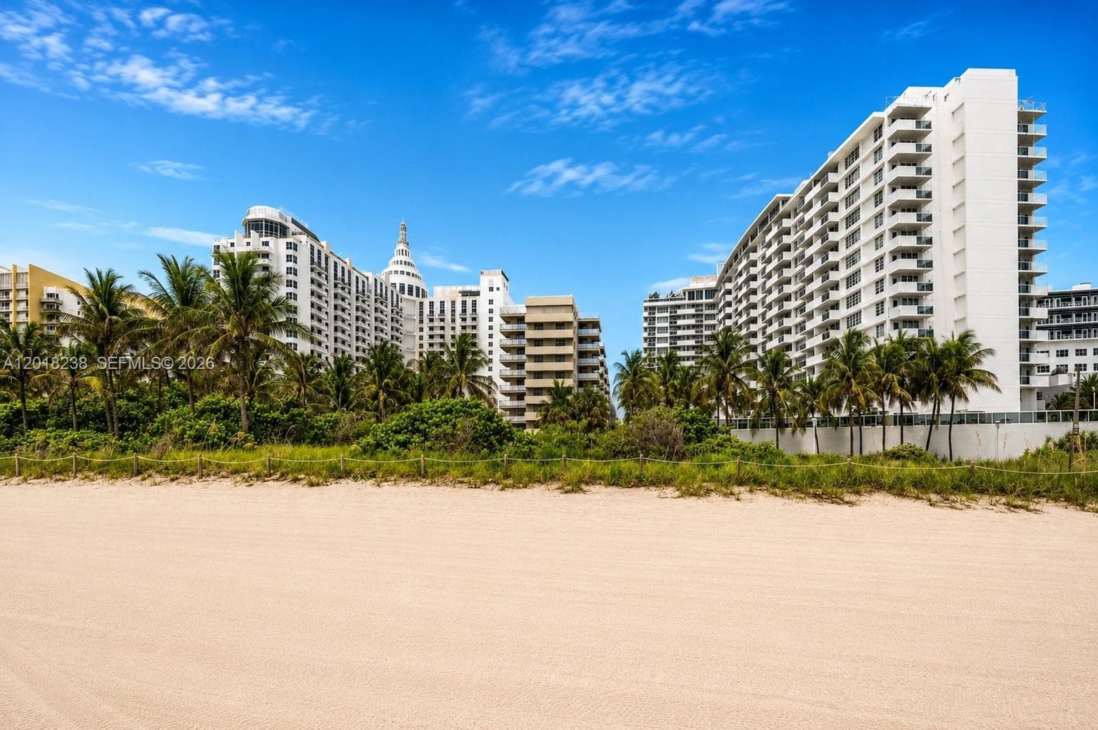 A12018238 — Miami Beach — 5