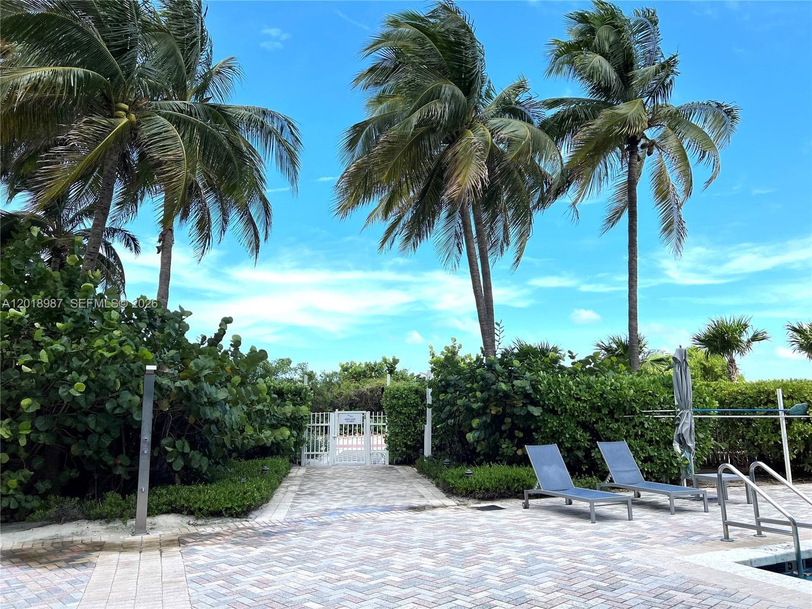 A12018987 — Miami Beach — 15