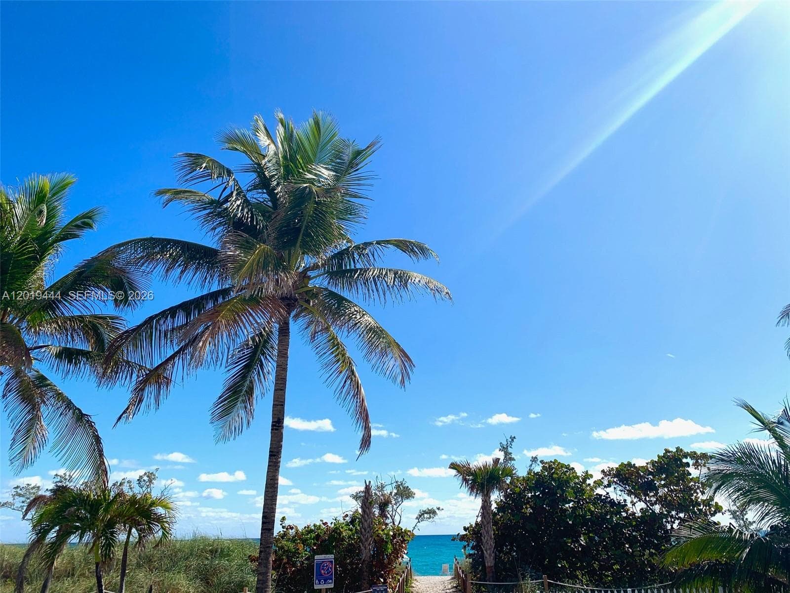 A12019444 — Miami Beach — 36