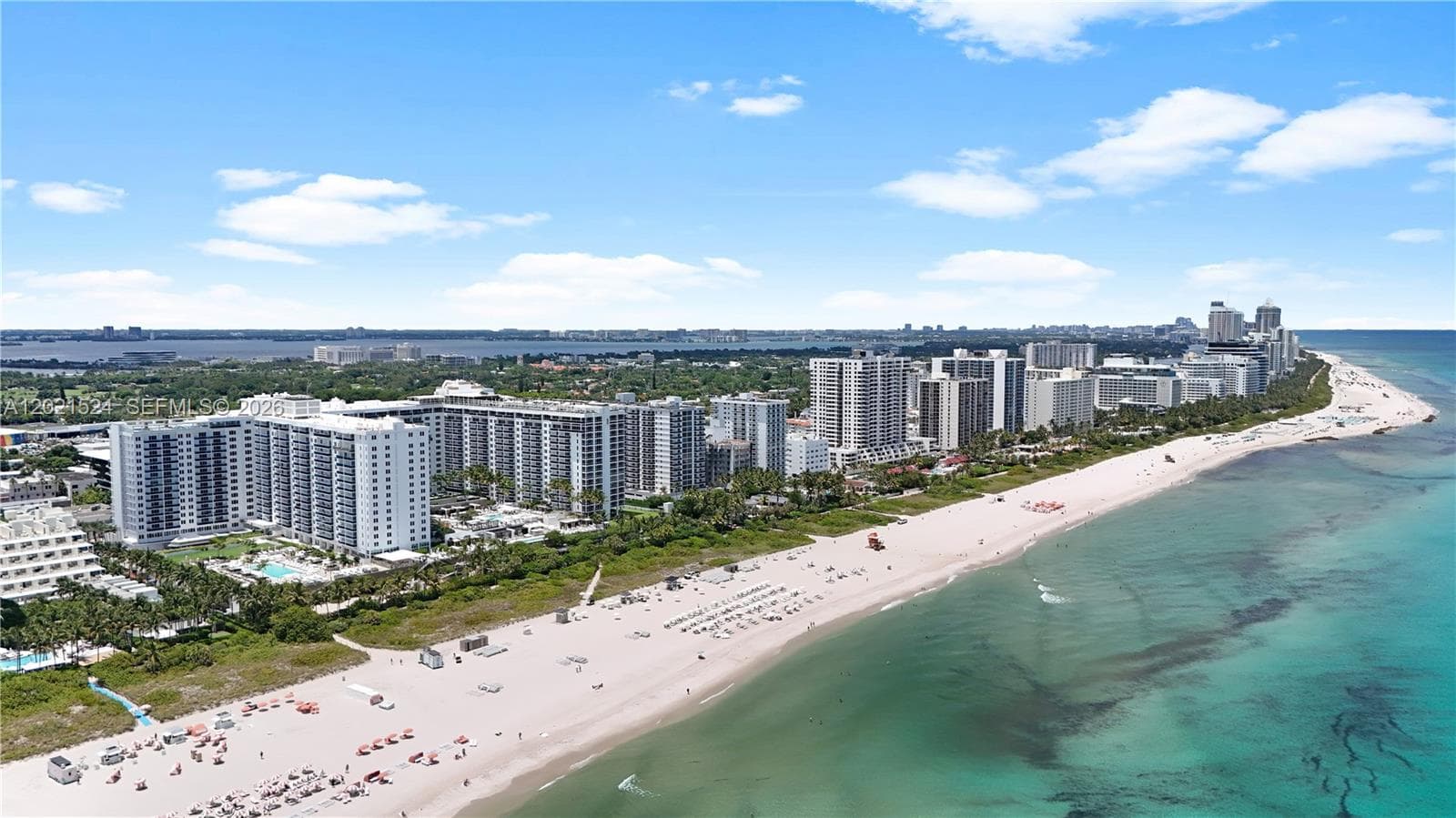 A12021524 — Miami Beach — 4