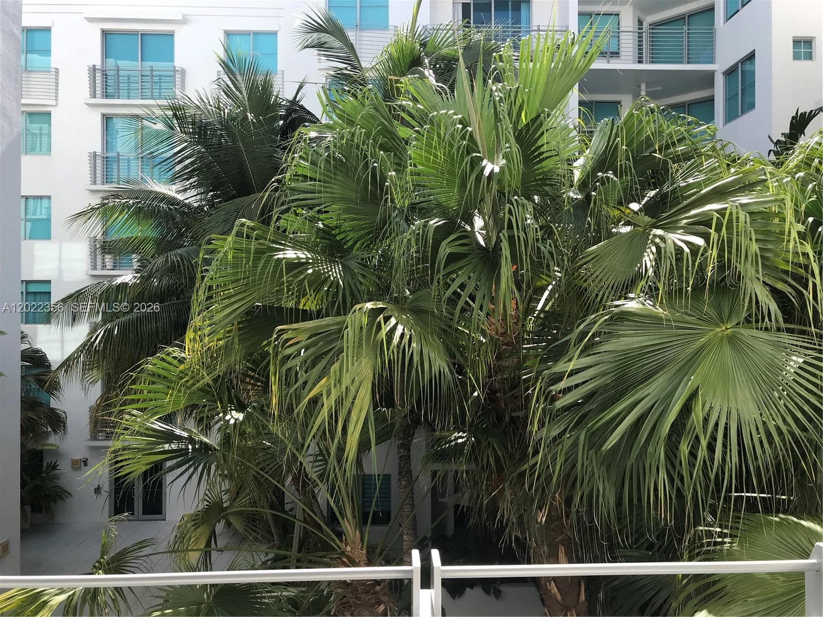 A12022356 — Miami Beach — 5