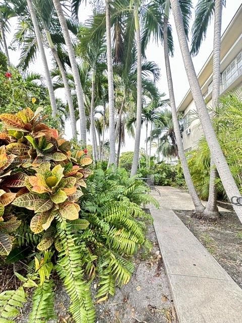 A12026544 — Miami Beach — 5