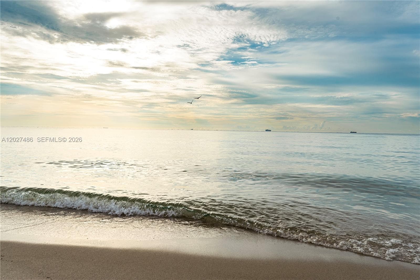 A12027486 — Miami Beach — 6