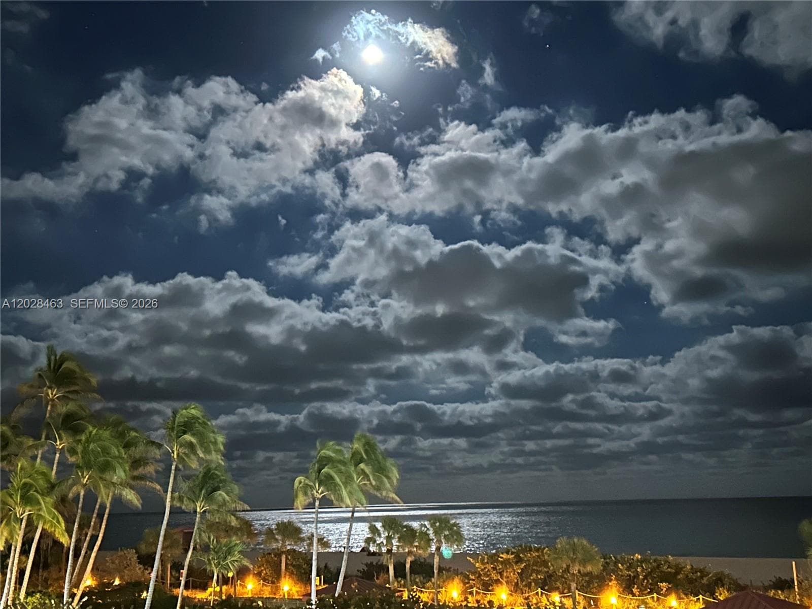 A12028463 — Miami Beach — 4
