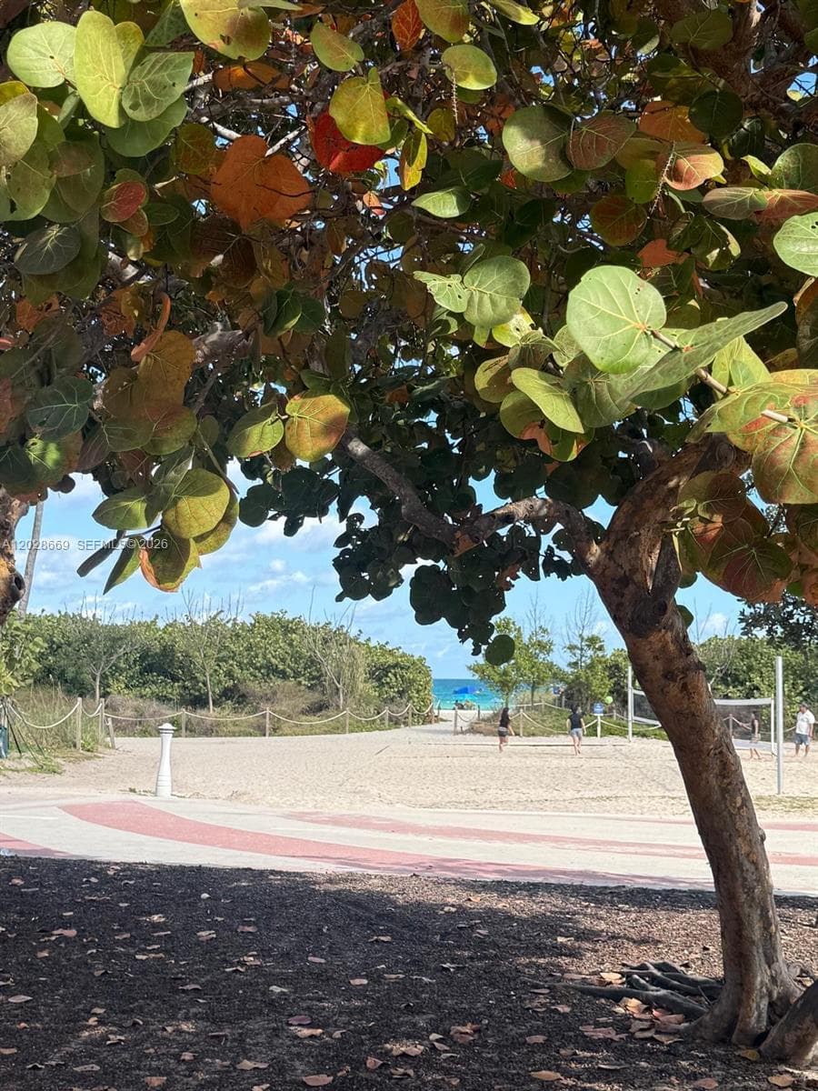 A12028669 — Miami Beach — 17