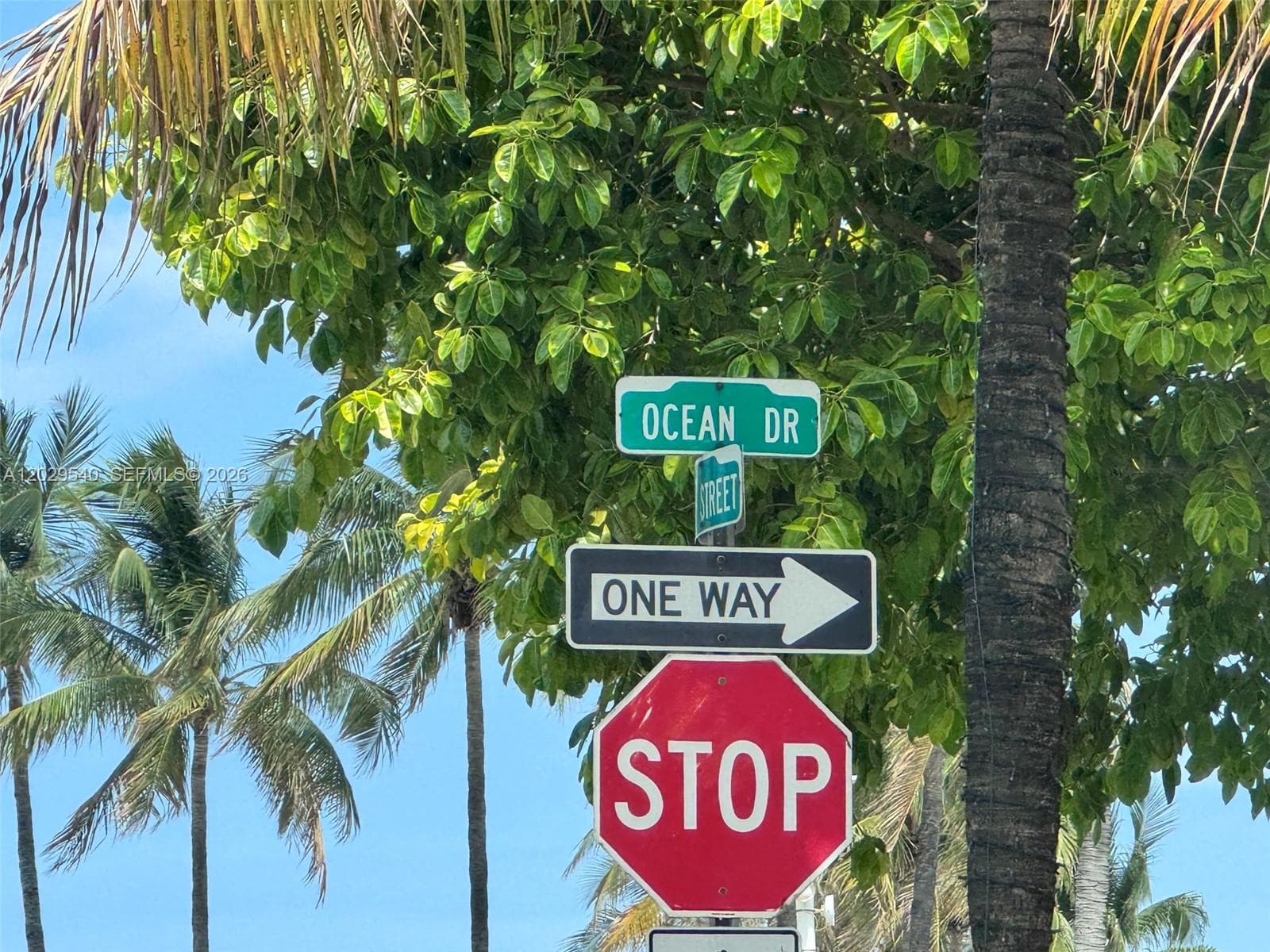 A12029540 — Miami Beach — 29