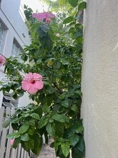 A12029888 — Miami Beach — 22