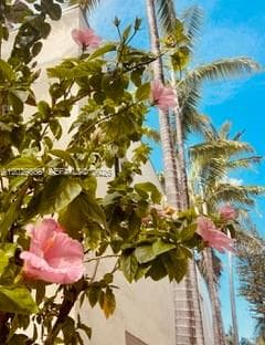 A12029888 — Miami Beach — 21