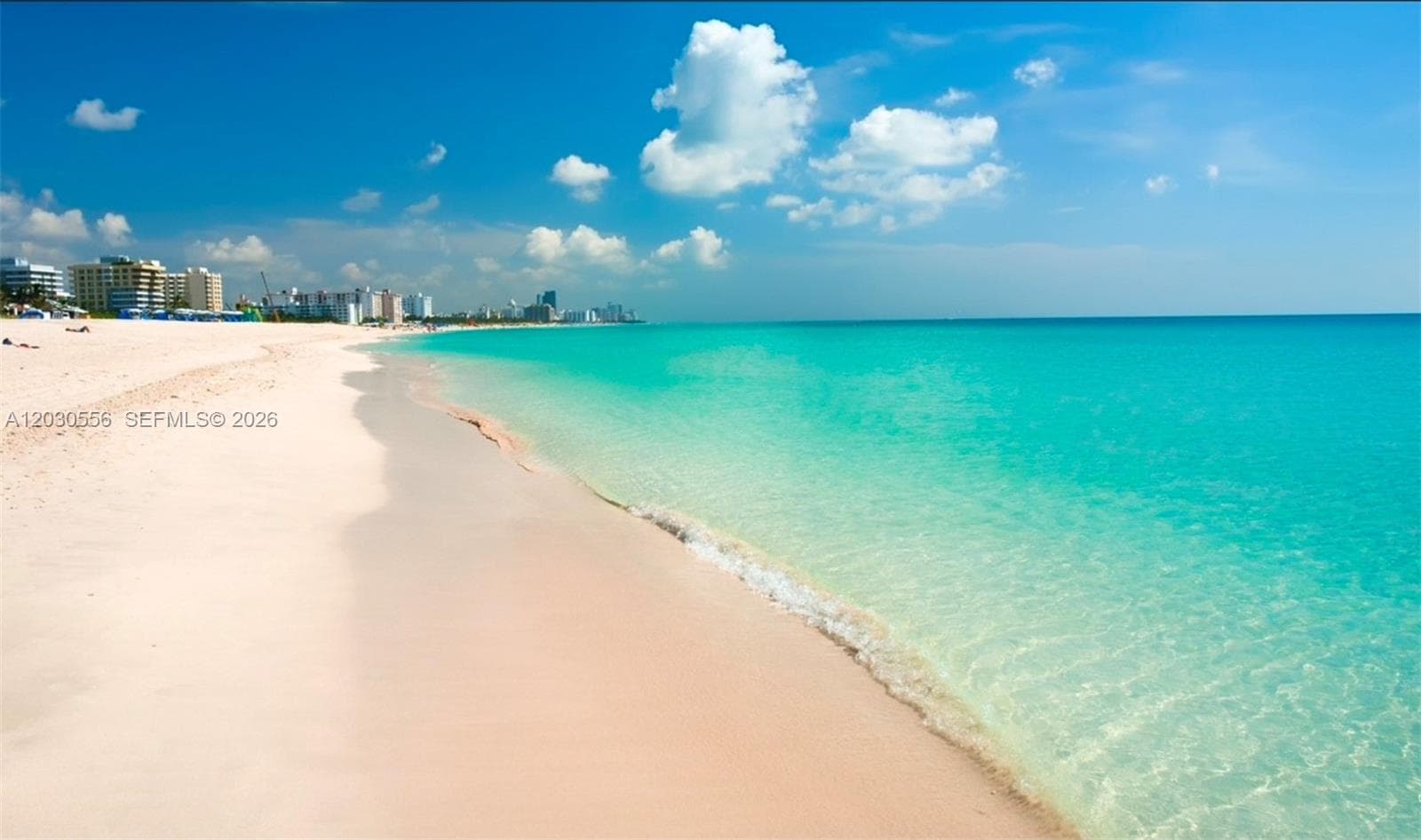 A12030556 — Miami Beach — 3