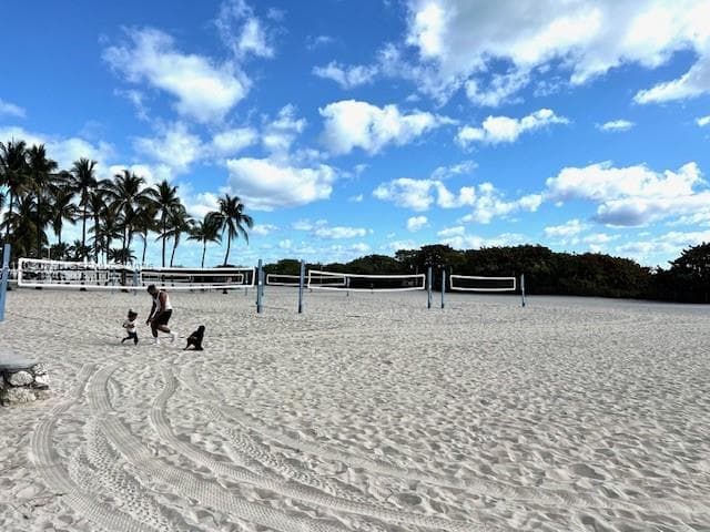 A12030791 — Miami Beach — 41
