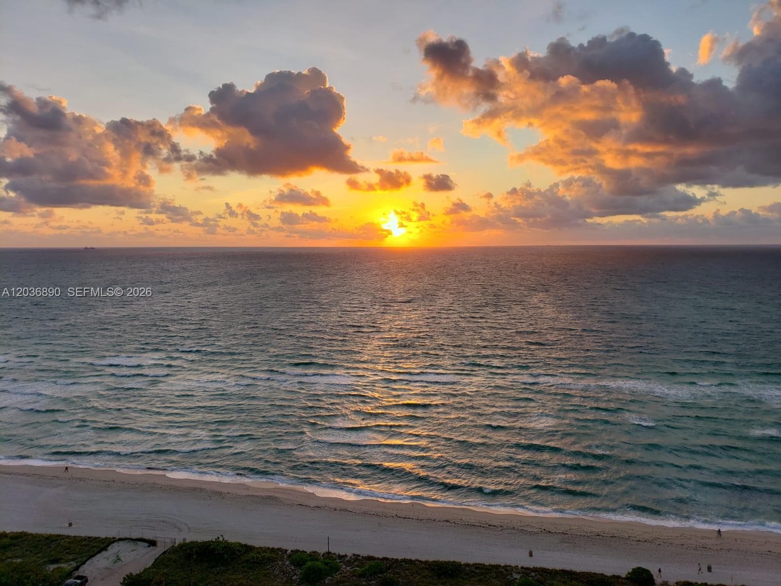 A12036890 — Miami Beach