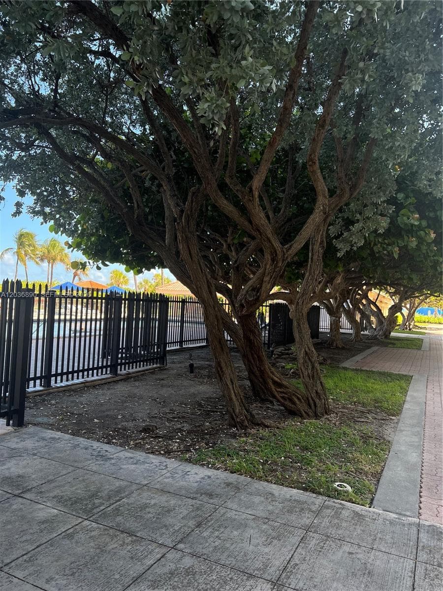 A12036890 — Miami Beach — 15