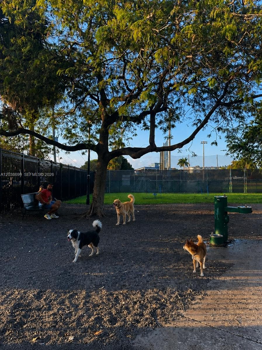 A12038699 — Miami Beach — 23
